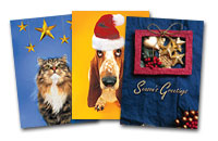 Christmas Cards