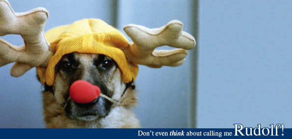 Rudolf (code 7864)