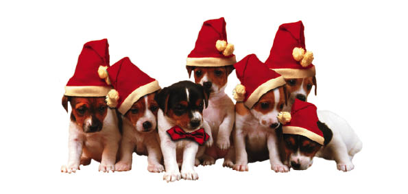 Christmas Dogs (code 7888)