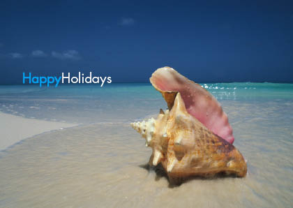 Lucky Dip Range - Happy Holiday Shell (code 8106)
