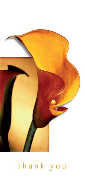 TYC21 - Yellow Lily
