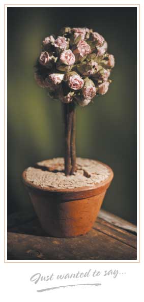 TYC22 - Flowers in Pot