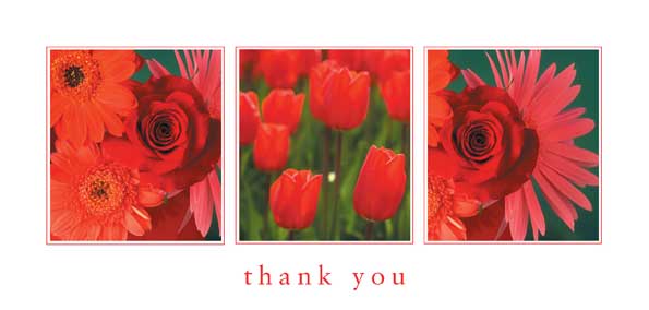 TYC24 - Red Flowers