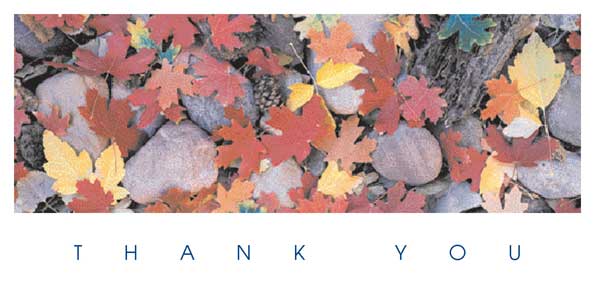 TYC25 - Autumn