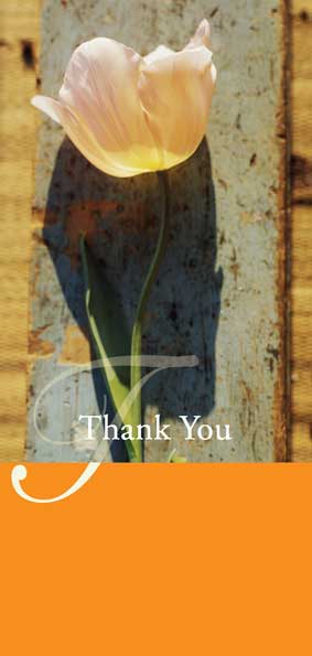 TYC31 - Orange Flower