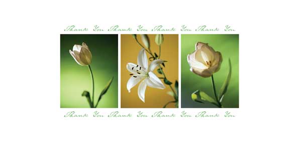 TYC35 - 3 Green Flowers