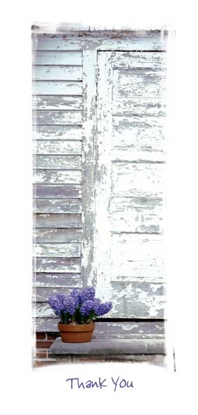 TYC36 - Purple Flowers
