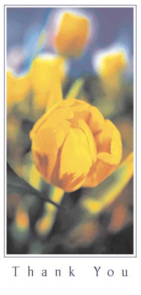 TYC45 - Yellow Tulip