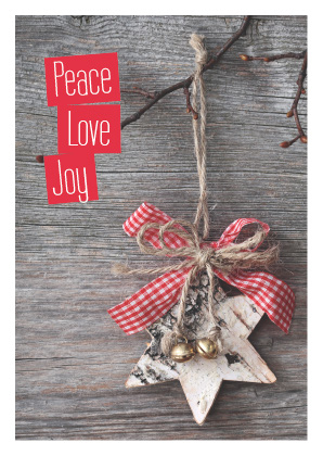 Christmas Craft 02 (Code 3036)