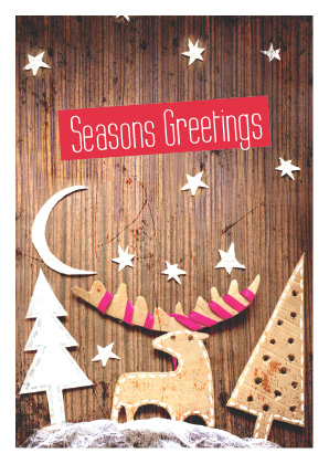 Christmas Craft 03 (Code 3057)