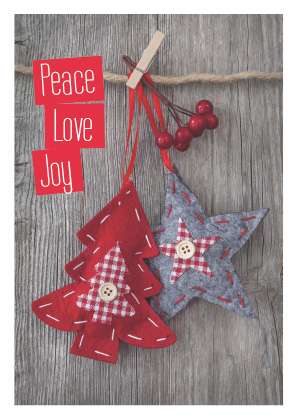 Christmas Craft 04 (Code 3038)
