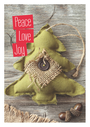 Christmas Craft 09 (Code 3058)