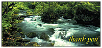 TYC10 - Stream