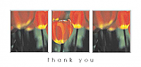 TYC26 - 3 Flowers
