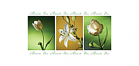TYC35 - 3 Green Flowers