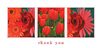 TYC24 - Red Flowers