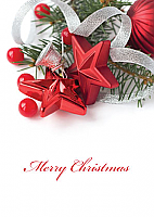 Corporate Christmas (3020)