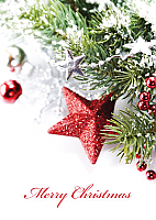 Corporate Christmas (3024)