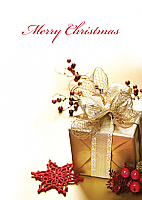 Corporate Christmas (3025)
