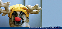 Rudolf (code 7864)