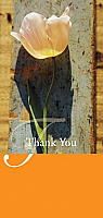 TYC31 - Orange Flower