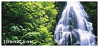 TYC05 - Waterfall