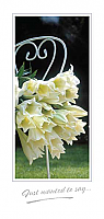 TYC23 - Flowers on Chair