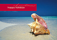 Christmas Shell (code 8175)