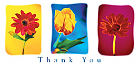 TYC29 - 3 Flowers