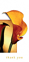 TYC21 - Yellow Lily
