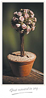 TYC22 - Flowers in Pot