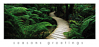 Australian Landscapes (code 8274)