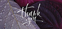 TYC47 - Purple Leaves